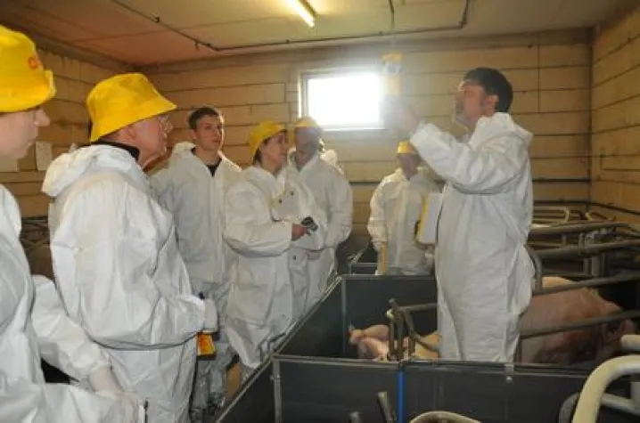 Bild: Der Schweineflüsterer kommt