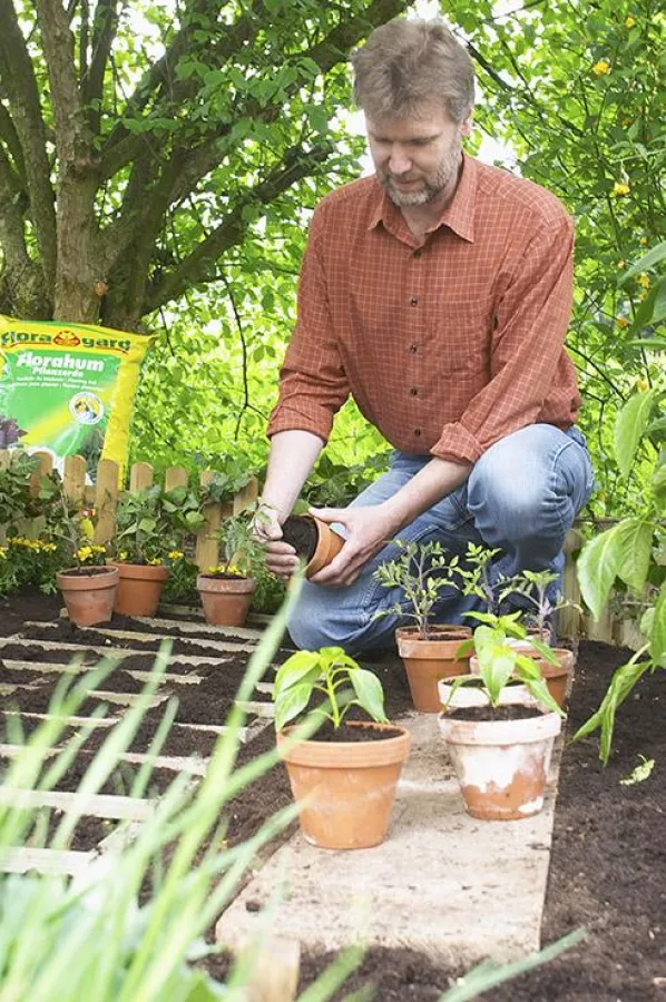Gesundes Gemüse dank der Floragard Spezialerde Florahum