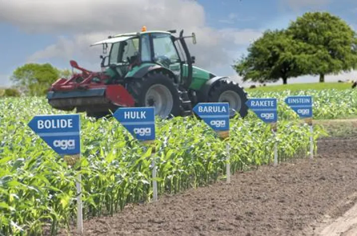 Bild: Neue agaSAAT Maissorten 2014