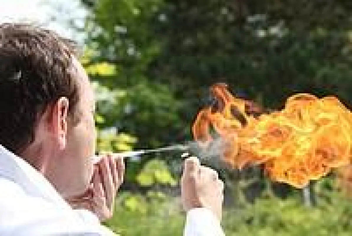Feuer und Flamme für die Wissenschaft - Beim Science Slam wird Wissenschaft zur Bühnenshow.