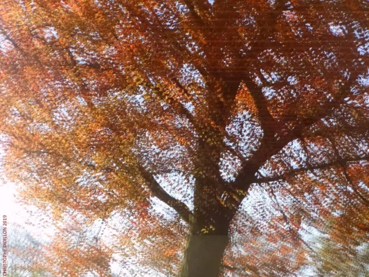 Bild: Bremen/Niedersachsen - Landesbeamter gesteht: "Behinderte Menschen werden mit falschen Gutachten geprellt!“