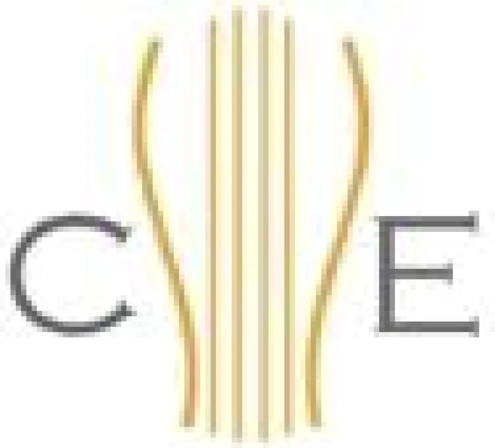 Logo Camerata Europaea