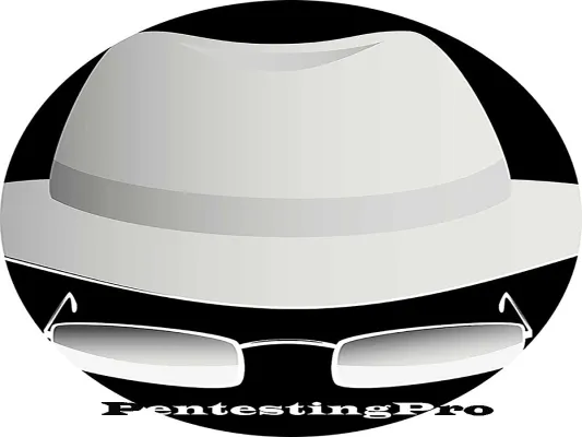 PentestingPro führt innovative Maßnahmen zum Schutz vor Datenverlust ein Bild: PentestingPro führt innovative Maßnahmen zum Schutz vor Datenverlust ein