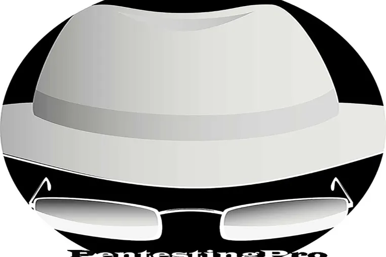 Bild: PentestingPro führt innovative Maßnahmen zum Schutz vor Datenverlust ein