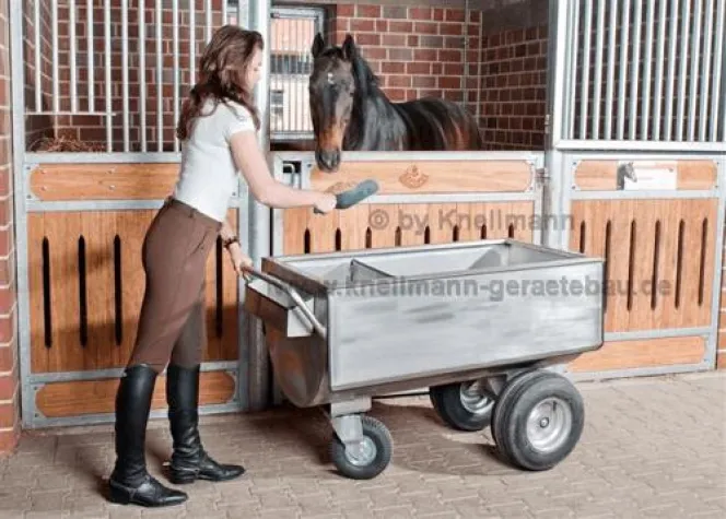 Kneilmann neus GHI Mitglied Bild: Kneilmann neus GHI Mitglied