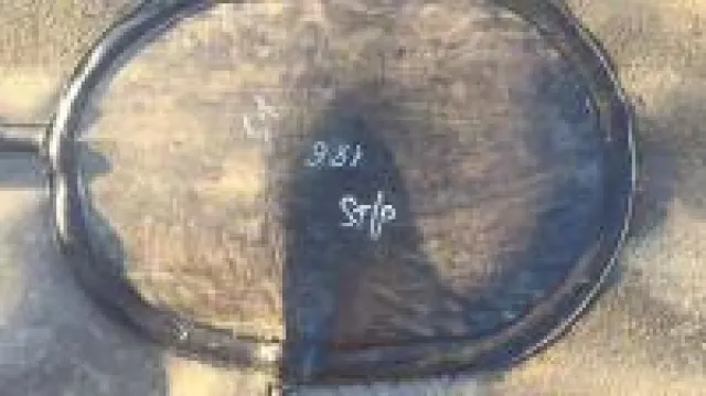 Bild: Die zwölf Weihnachtstage - ein Preisindex