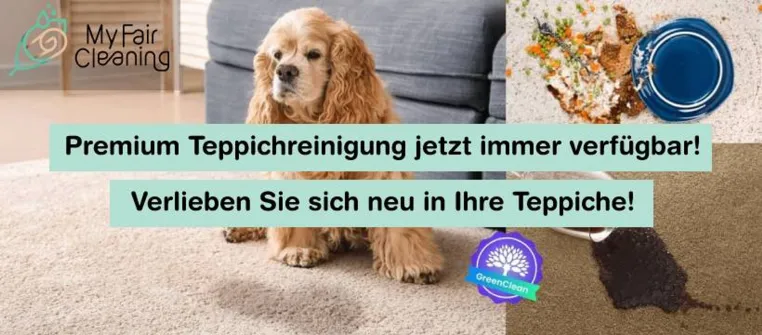 Bild: My Fair Cleaning - Deutschlands 1 vollständig digitalisierte Plattform für Premium-Teppichreinigungen