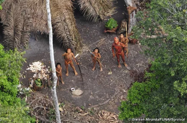 Bild: Straße durch Amazonas verspricht Katastrophe für Indianer