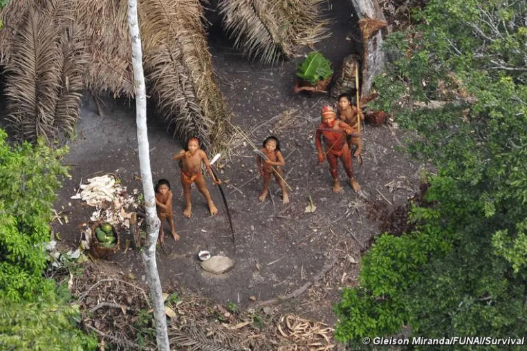 Bild: Straße durch Amazonas verspricht Katastrophe für Indianer