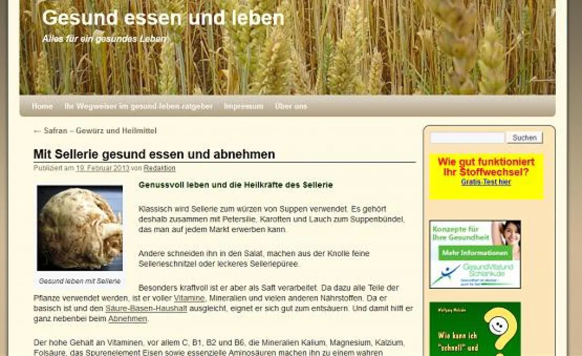 gesund-leben-ratgeber zum Sellerie