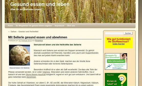 Bild: Sellerie - nicht nur Suppengemüse