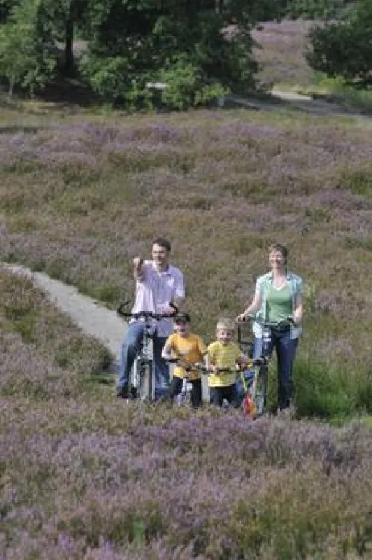 Radwandern in der Südheide Gifhorn