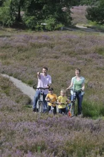 Die Südheide Gifhorn erradeln Bild: Die Südheide Gifhorn erradeln