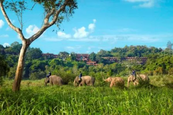 Bild: Stadt, Strand, Dschungel