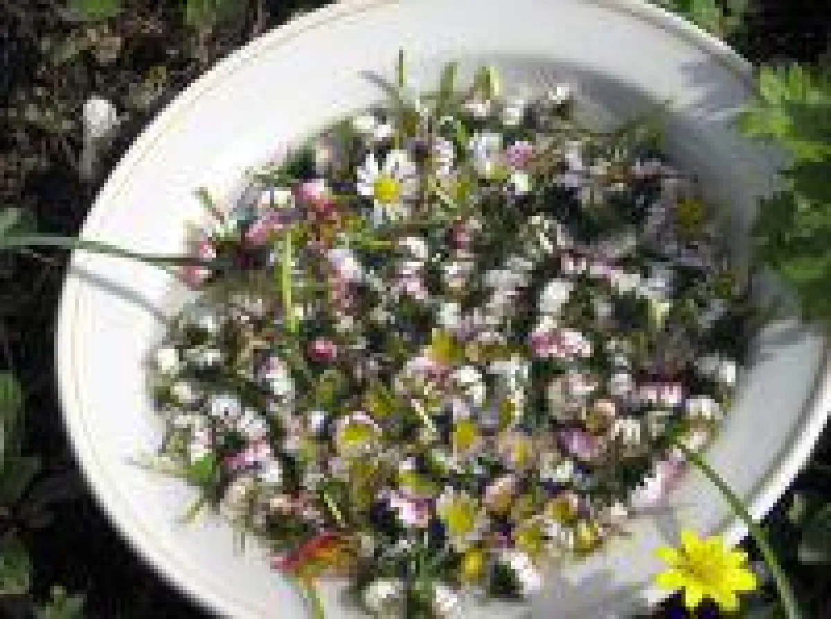 Gänseblümchen - Phantasiereise, um Ängste und unangenehme Erlebnisse loszulassen