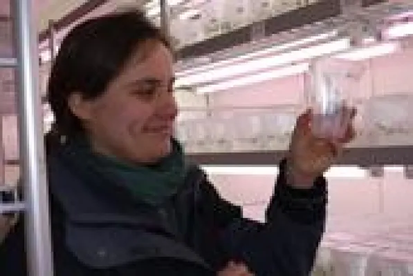 Bild: Saatzuchtbetrieb Dieckmann Seeds vertraut auf Küba-Verdampfer bei der Anzucht