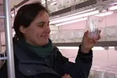 Saatzuchtbetrieb Dieckmann Seeds vertraut auf Küba-Verdampfer bei der Anzucht Bild: Saatzuchtbetrieb Dieckmann Seeds vertraut auf Küba-Verdampfer bei der Anzucht