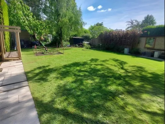 Bild: Hochwertigen Fertigrasen in Berlin verlegen lassen und erfolgreiches Anwachsen fördern