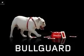 Bild: BullGuard erklärt Spam den Krieg