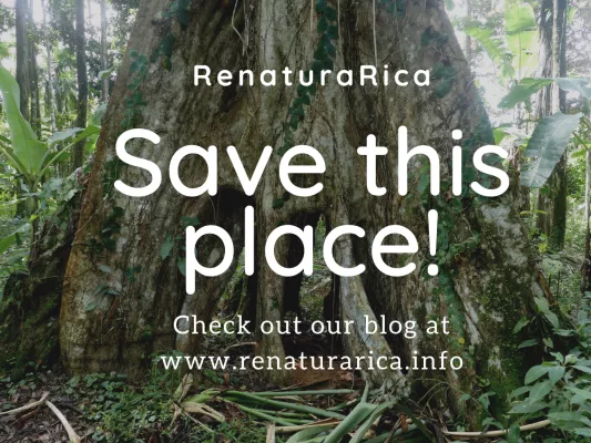 Bild: Wenn wir jetzt nichts tun, ist dieses Naturparadies für immer zerstört