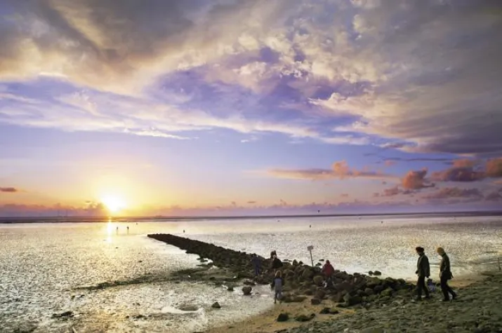 Bild: Center Parcs: Immobilien und Tourismus als sichere Bank