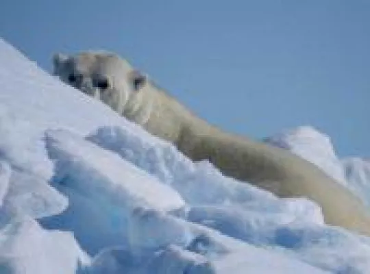 Bild: Filmreif reisen durch Kanada - Drei kanadische Berlinale-Filmemacher führen zu Inspirations-Orten ihrer