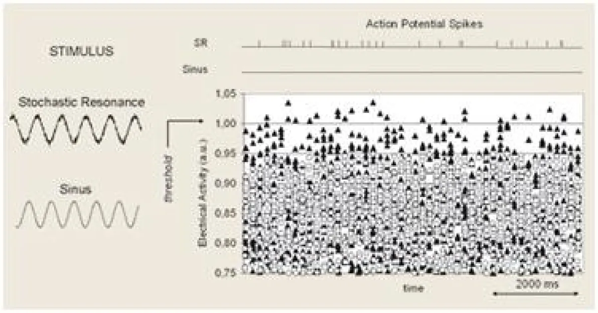 Abb. 1: Simulation synaptische Aktivität von Nervenzellen bei Sinus- & stochastischen Vibrationsreizen-gleiche Amplitude/Frequenz