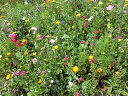 Bild: Duft in der Raumluft - Gutachter bestätigt gesundheitliche Unbedenklichkeit