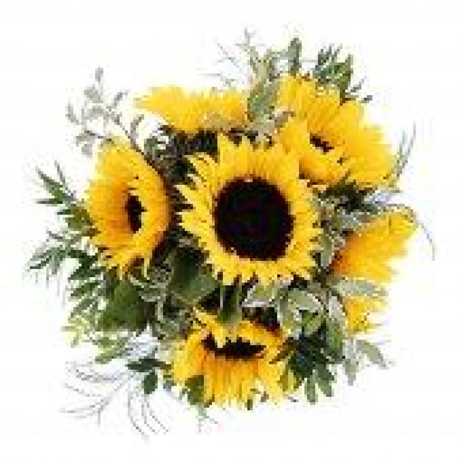 Sonnenblumenstrauß aus dem Angebot von blumenshop.cc