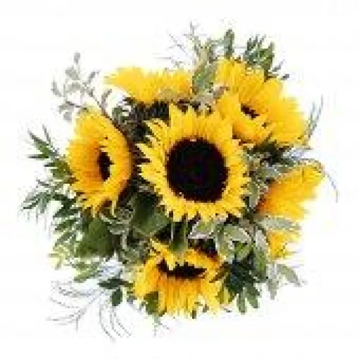 Bild: blumenshop.cc erweitert Versandgebiet