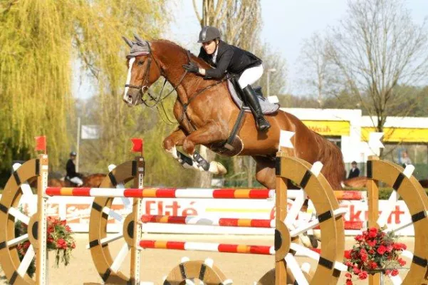 Bild: Linzer Frühlingstour 2008 - Vierfacherfolg für Österreich im Grand Prix der Stadt Linz