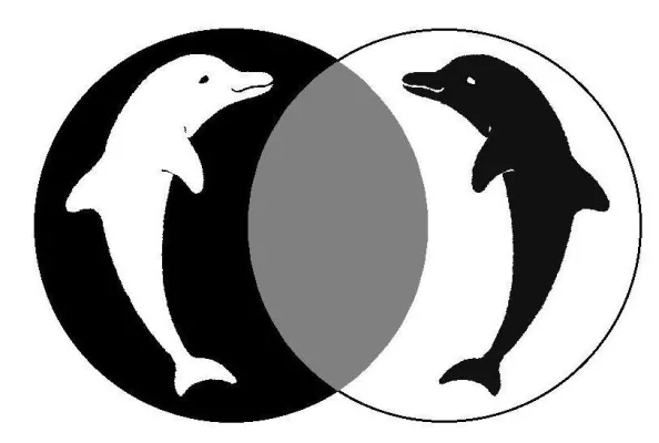 Paartherapie im Urlaub (J O Y: Heilpraxis für Paartherapie und Psychotherapie in Köln und Eifel) Bild: Paartherapie im Urlaub (J O Y: Heilpraxis für Paartherapie und Psychotherapie in Köln und Eifel)