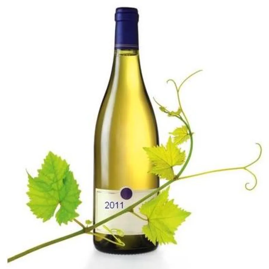 Spitzenweine zu Winzerpreisen