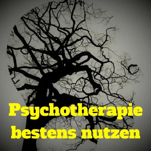 Psychotherapie bestens einsetzen Bild: Psychotherapie bestens einsetzen