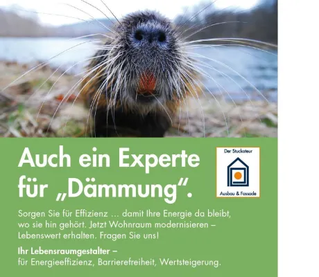 Stuckateurverband stellt Mitgliedern ein individuelles Werbemittelproduktionssystem zur Verfügung Bild: Stuckateurverband stellt Mitgliedern ein individuelles Werbemittelproduktionssystem zur Verfügung