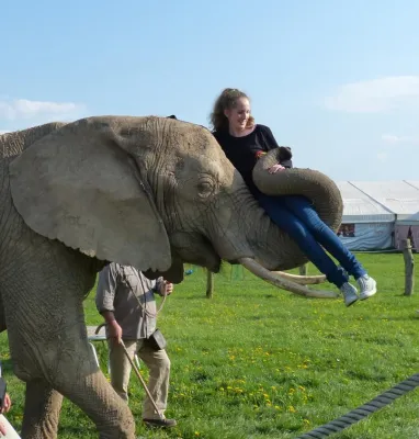 Bild: Familienfreizeit auf dem Elefantenhof, neue Sommerferienkurse und Museumsmeilenfest Bonn