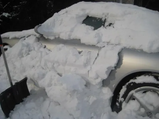 Bild: Virtuelle Teams efektiv steuern