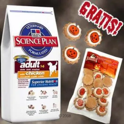 Bild: Halloween für Hund und Katze