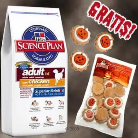 Bild: Halloween für Hund und Katze