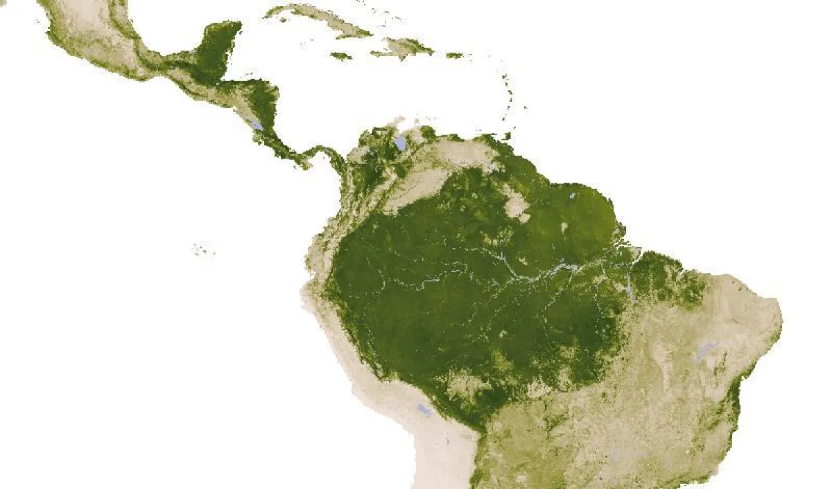 Map of vegetation in the Amazon (dark green) and adjoining savanna (light green) as reflected in the Leaf Area Index based on satellite MODIS data. (Copyright: NASA Earth Observatory, Robert Simmons)
