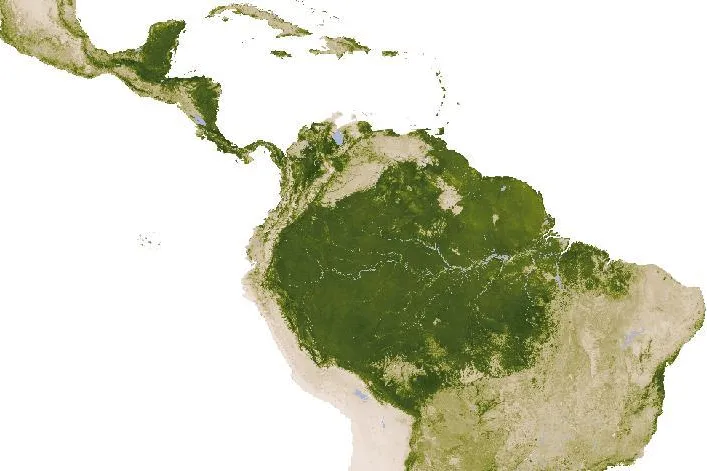 Bild: Shallow soils promote savannas in South America