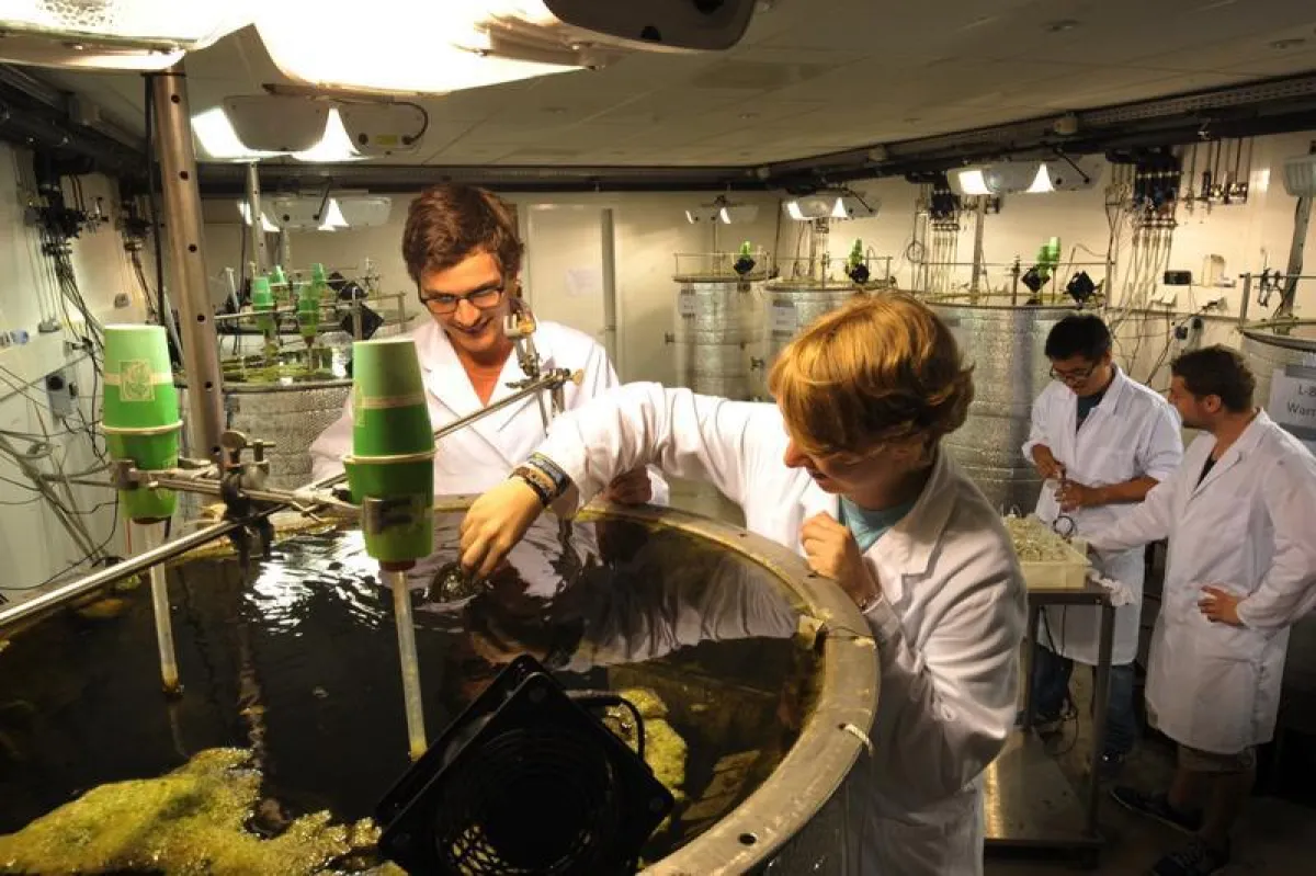 Im Labor haben die ForscherInnen ein Jahr lang die Gewässer und Umweltbedingungen unserer Breiten nachgeahmt. (Foto: Cees Mooij / NIOO-KNAW)