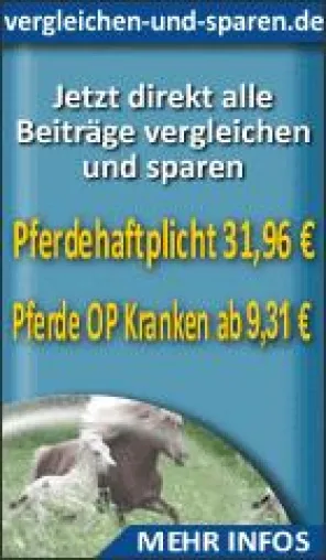 Bild: Wenn der Tierarzt in den Stall kommt - Die Pferde OP und Pferdekranken Versicherung - Hilfe für den Ernstfall