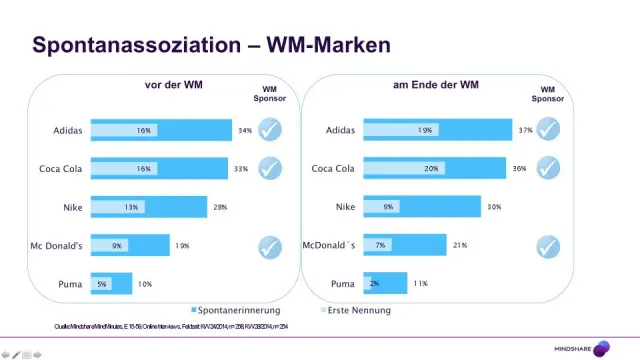 Bild: Fußball-WM ist eine Erfolgsstory der digitalen Kanäle