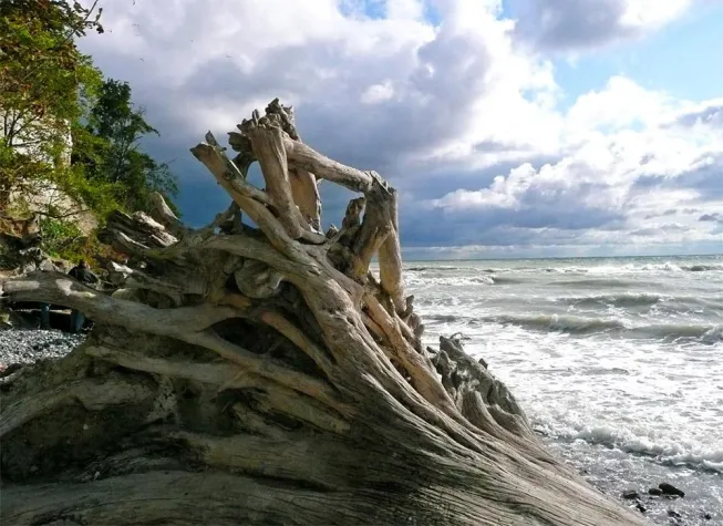 Bild: Rügen - Mediterranes Flair in der Ostsee