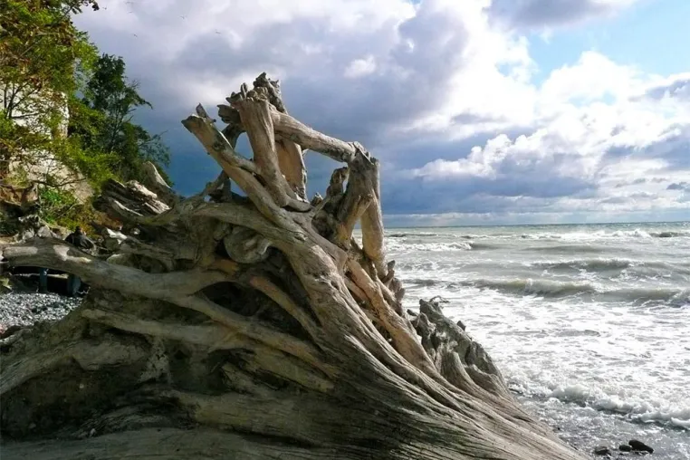 Bild: Rügen - Mediterranes Flair in der Ostsee
