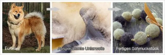 Bild: TIERKUNST –Der erste Film des tierischen Ateliers.