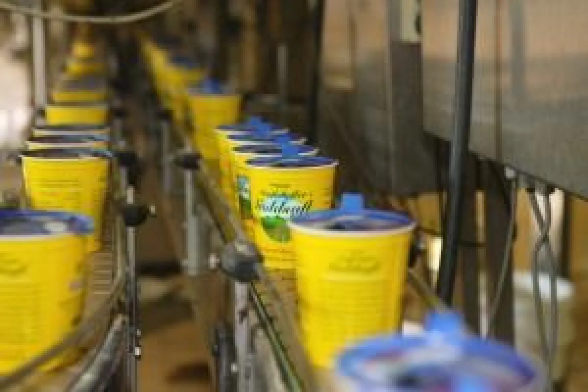 Über Vollwäsche, Rübenbunker, Maischebehälter und Verdampfanlage gelangt die Zuckerübe als Grafschafter Goldsaft Zuckerrübensirup in den gelben Becher.