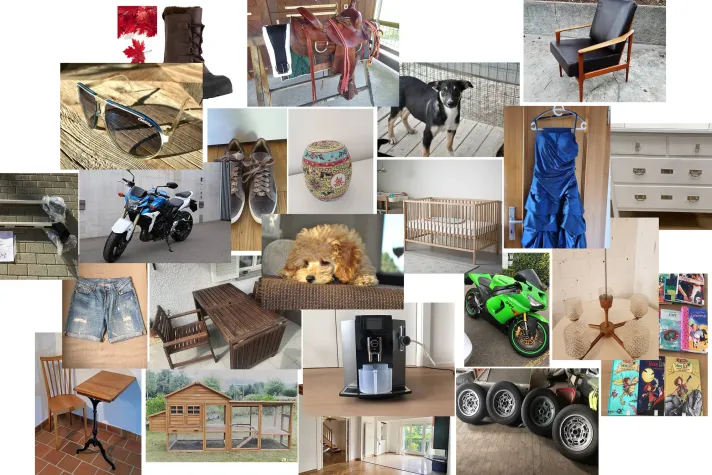 Bild: trovas.ch feiert sein einjähriges Bestehen