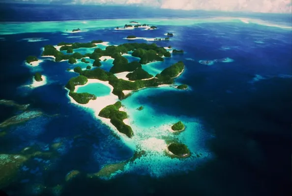 Bild: Palau engagiert sich für den Schutz der Korallen